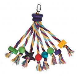 pawspets673711