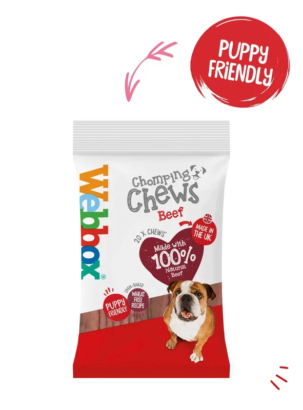 pawspets673818