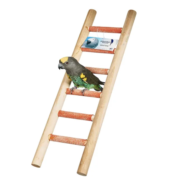 pawspets673966