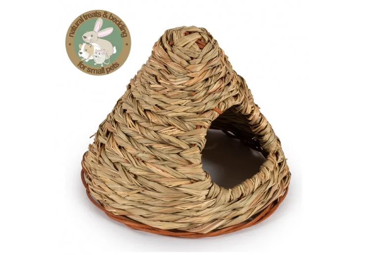 pawspets675306
