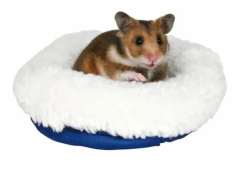 pawspets680115