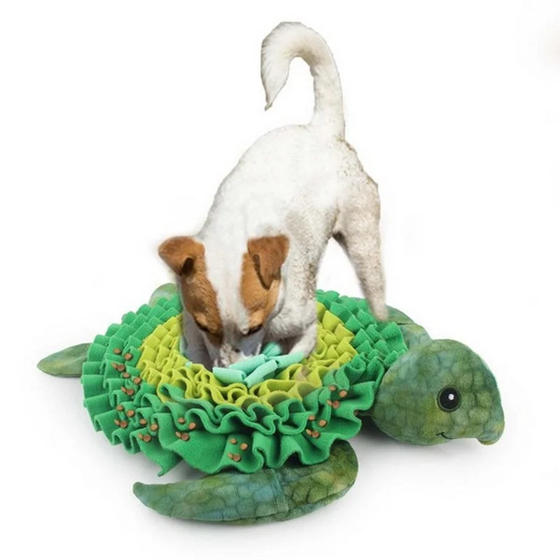 pawspets681169