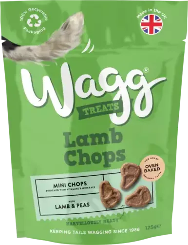 pawspets682534