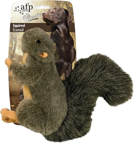 pawspets722622