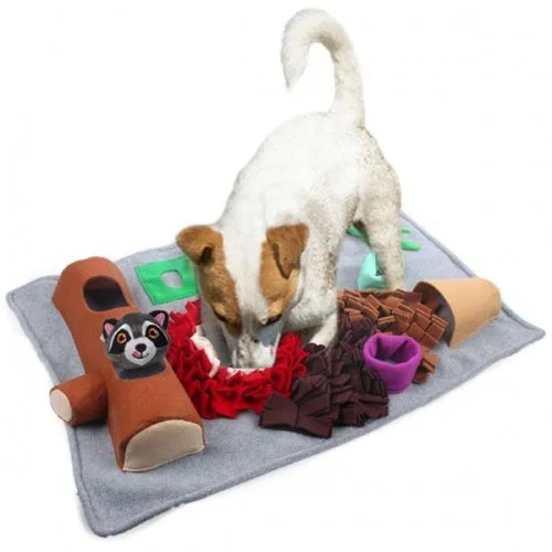 pawspets722811