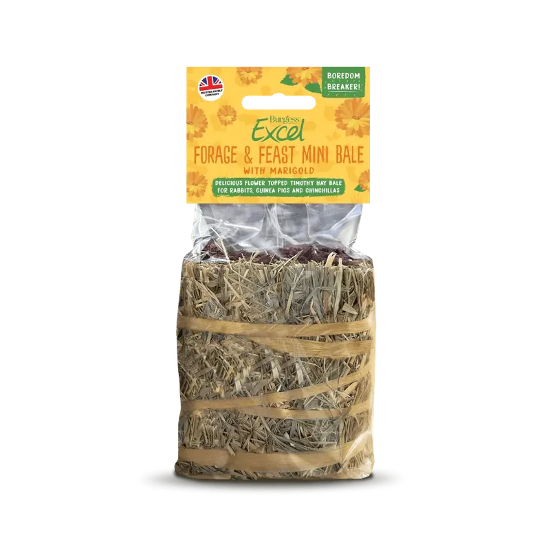 pawspets735367