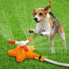 pawspets737630