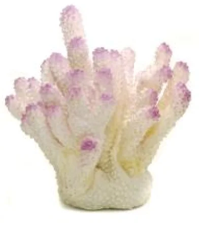 pawspets738151