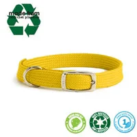 pawspets739717