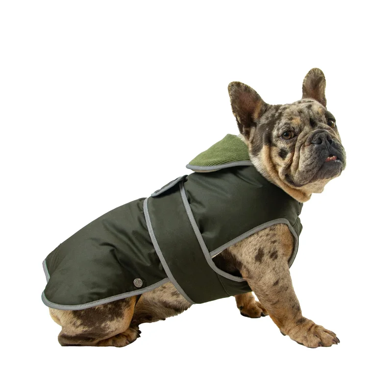pawspets749909