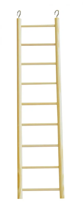 pawspets825019