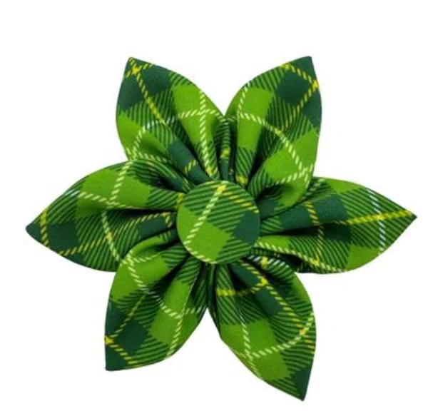 shop.greenspotomaha673261