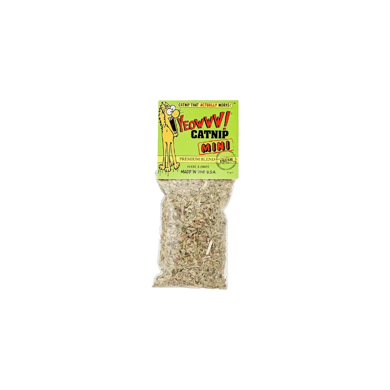 shop.katzenbarkers-648957