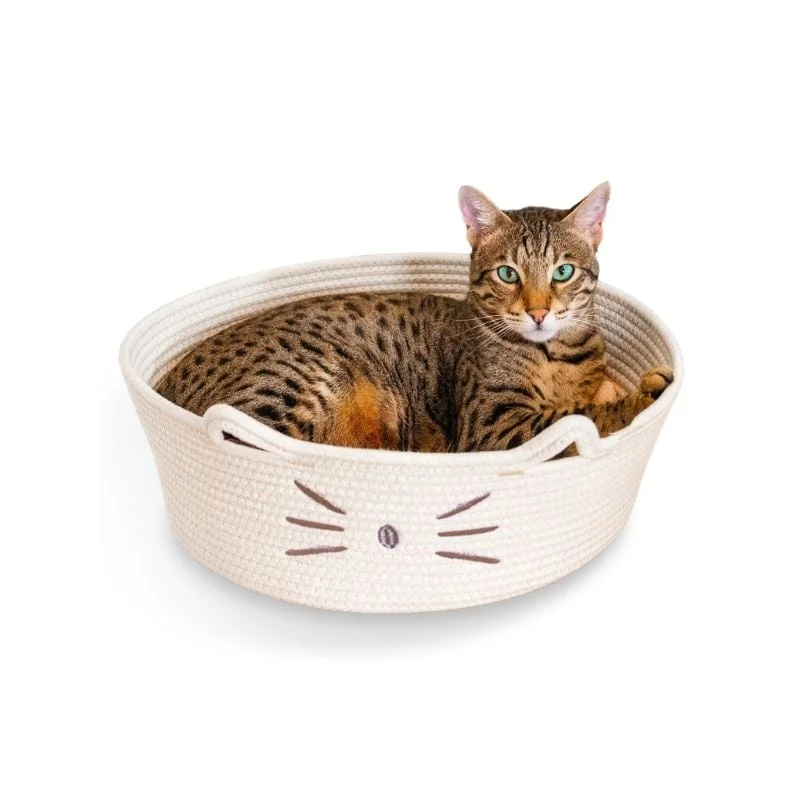 shop.katzenbarkers-649635