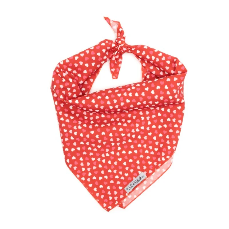 shop.katzenbarkers-650640