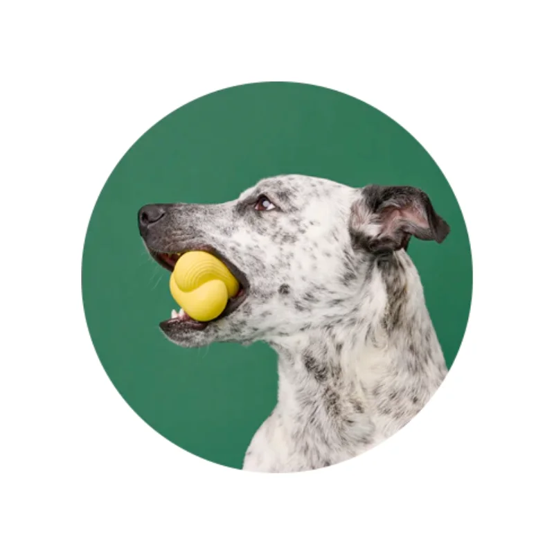 shop.katzenbarkers-650888