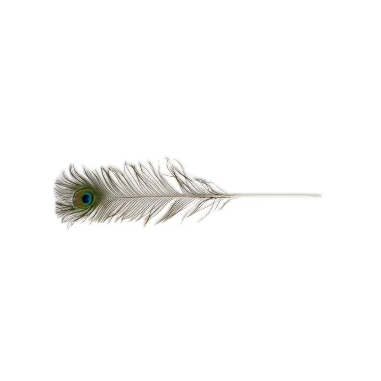 shop.katzenbarkers-651329