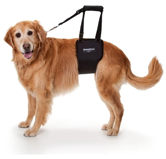 shop.katzenbarkers-651508