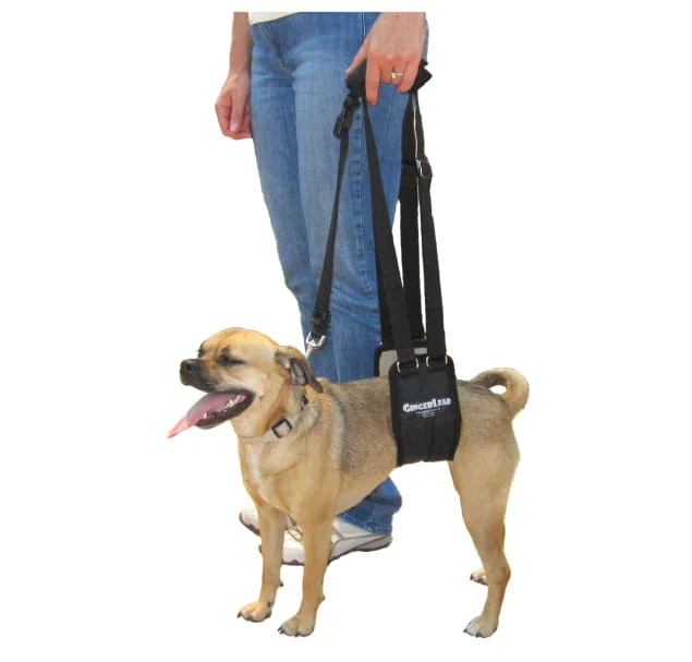 shop.katzenbarkers-652113