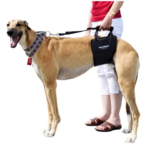 shop.katzenbarkers-652330