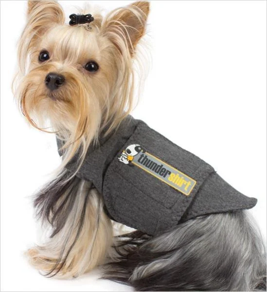 shop.pattonavenuepet634877
