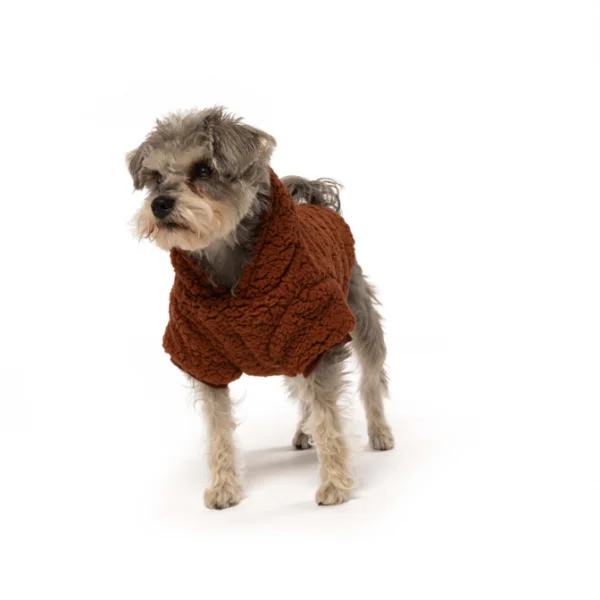 shop.pattonavenuepet638722