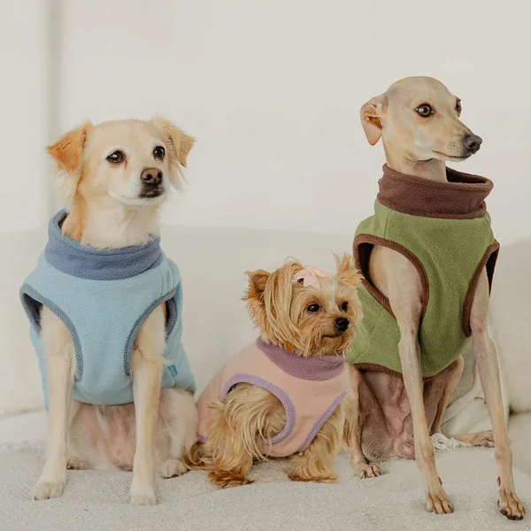 shop.pattonavenuepet643583