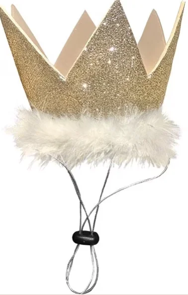 shop.pattonavenuepet643857