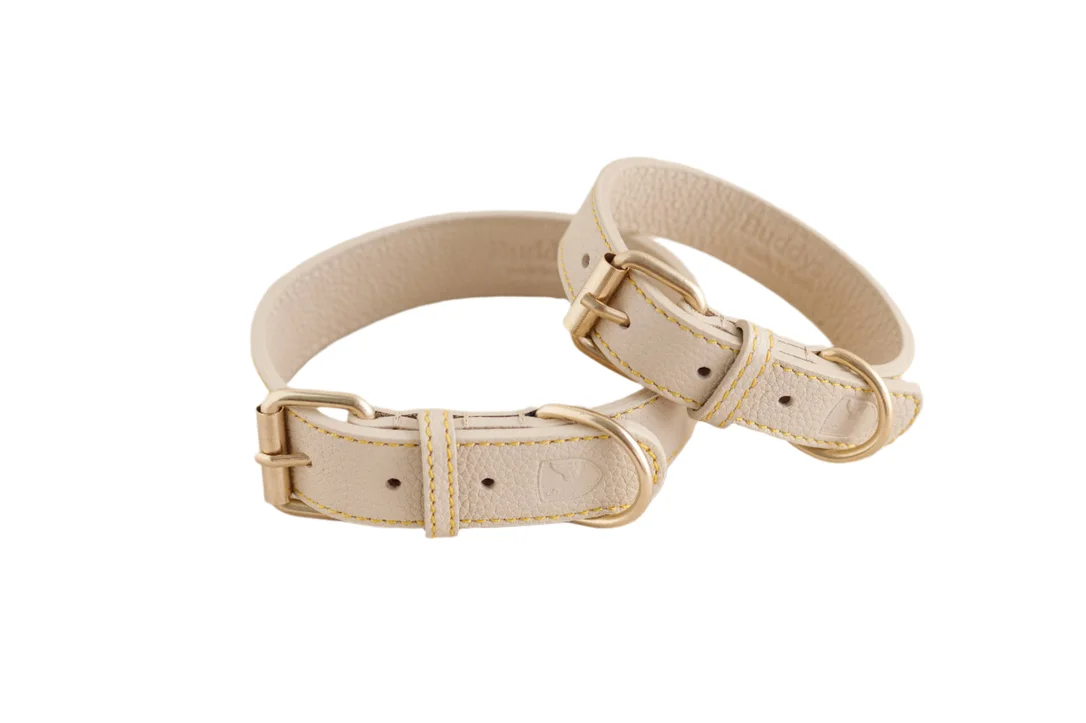 shopdogdish634792