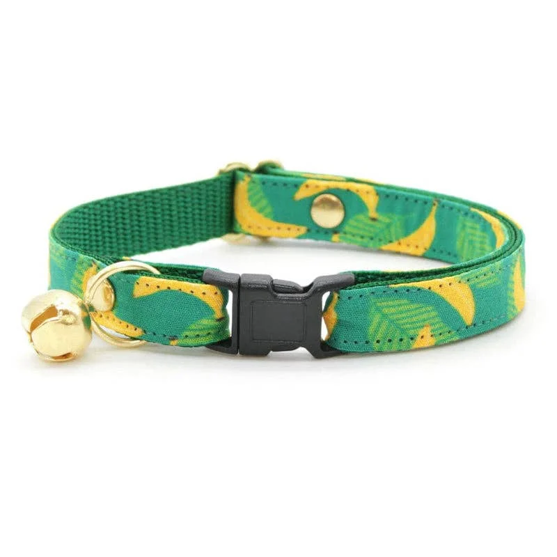shopdogdish635209