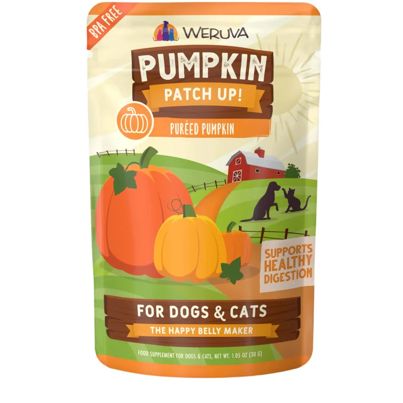 shopdogdish636211
