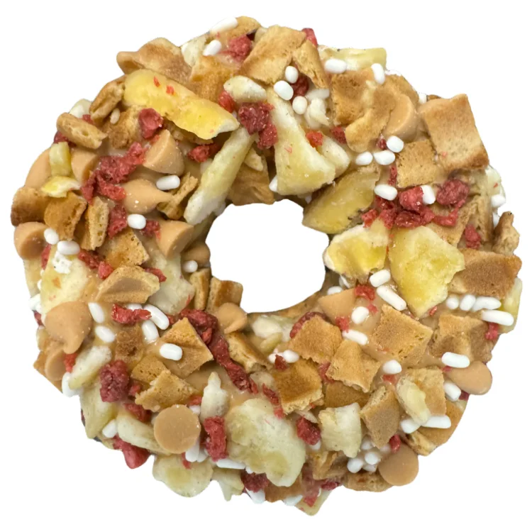 shopdogdish637508