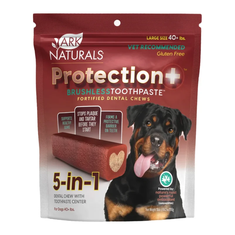 shopdogdish637671