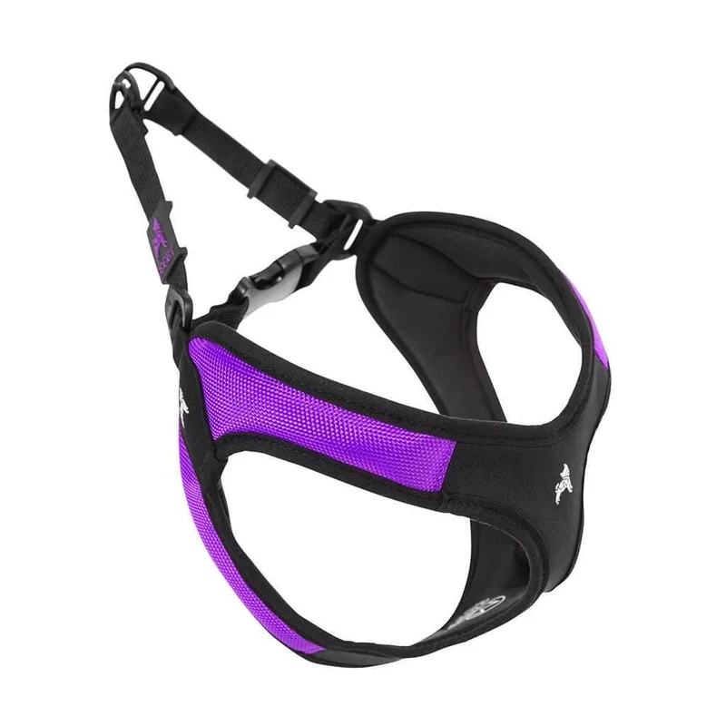 shopdogdish638230