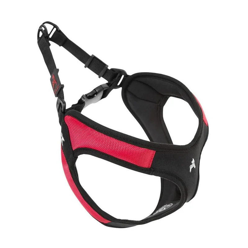 shopdogdish638234