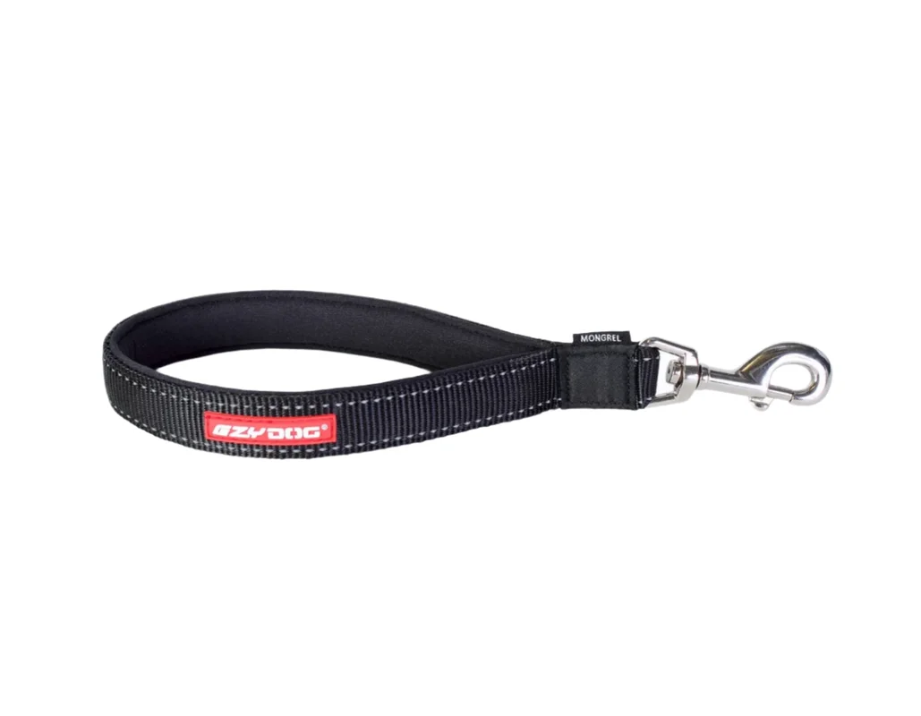 shopdogdish638644