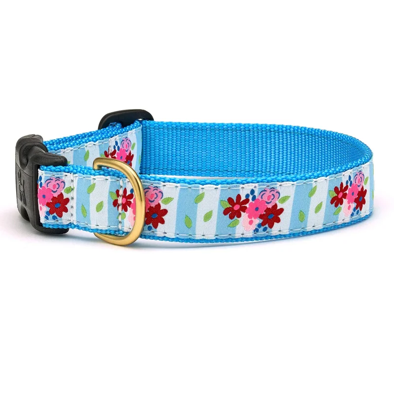 shopdogdish638688