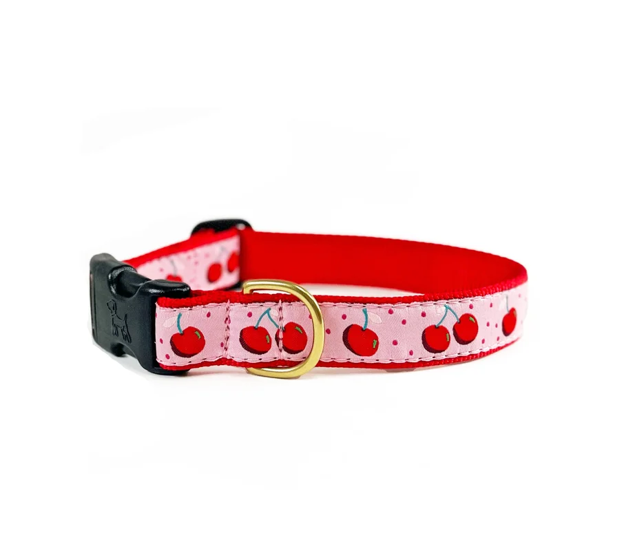 shopdogdish638707