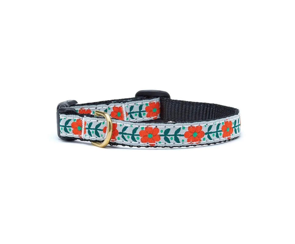 shopdogdish638842