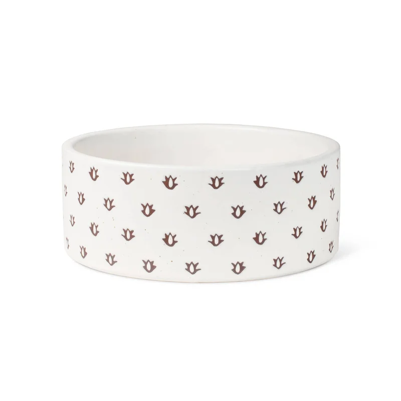 shopdogdish638855