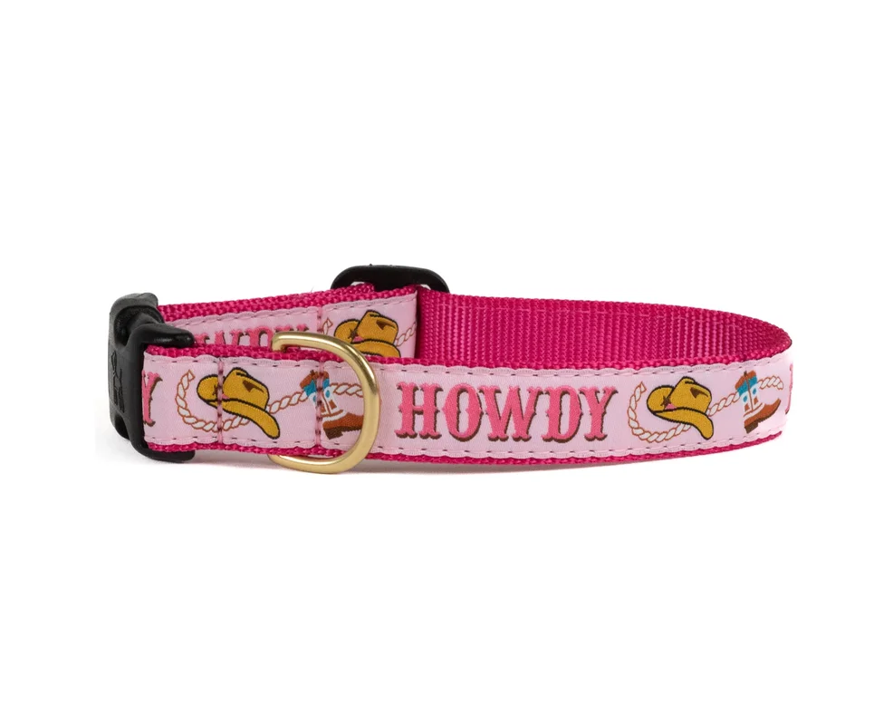 shopdogdish638875