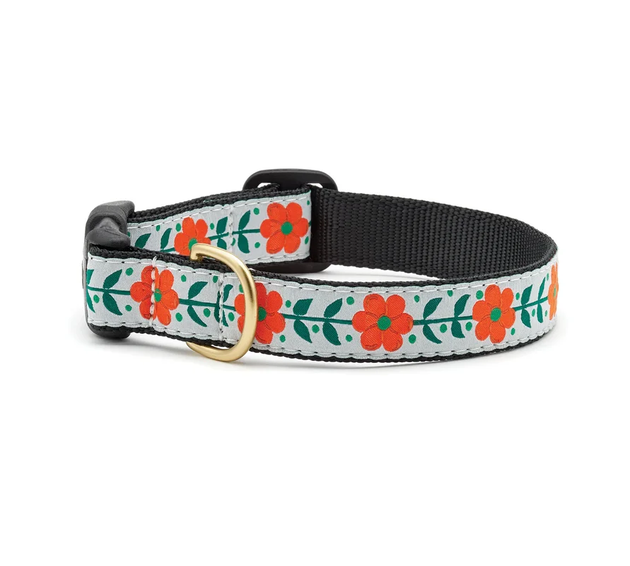 shopdogdish638910