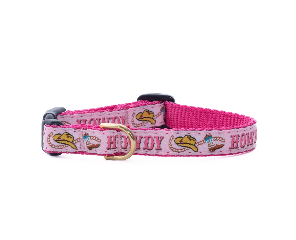 shopdogdish638955