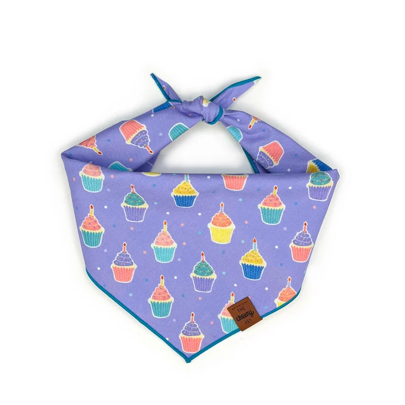 shopdogdish639002