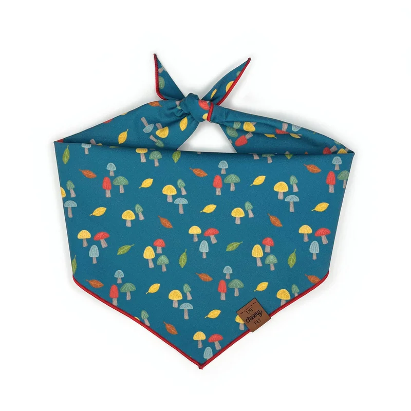 shopdogdish639008