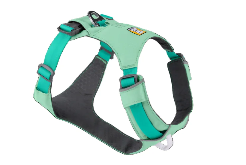 shopdogdish639310