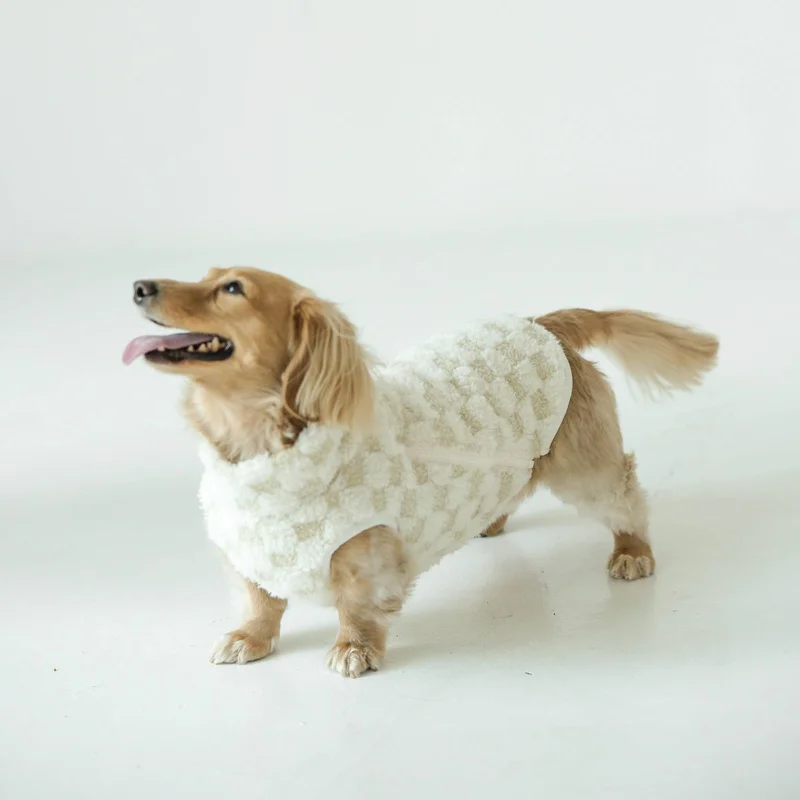 shopdogdish639670