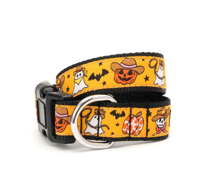 shopdogdish639708