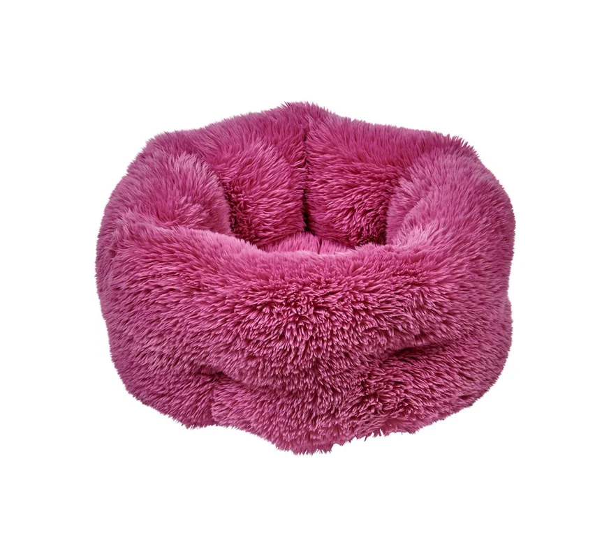 shopdogdish639902