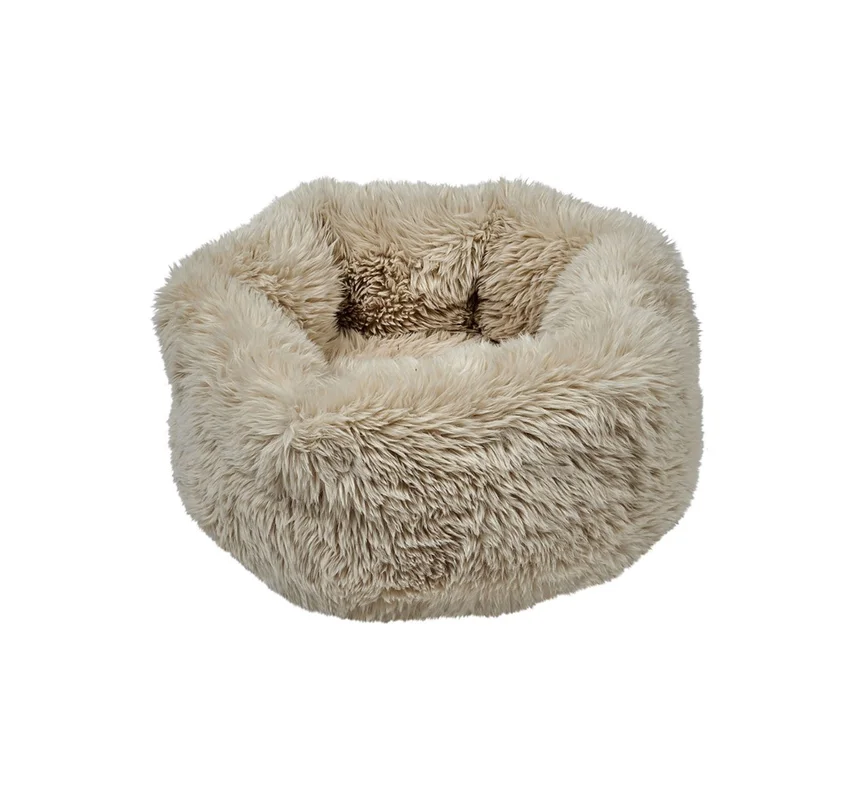 shopdogdish639917